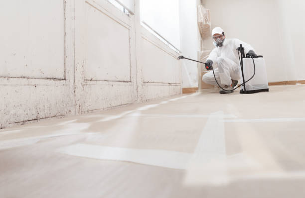 24/7 Emergency Mold Testing experts in Cresson, PA